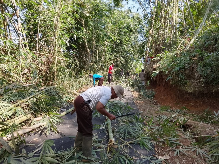 Berita